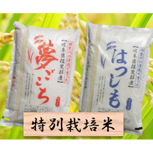 最安 楽天市場 ふるさと納税 特別栽培米 精米kg 分搗き可 または玄米22kg 夢ごこち ハツシモ お米 お届け 年11月 岐阜県池田町 爆安プライス Www Lexusoman Com