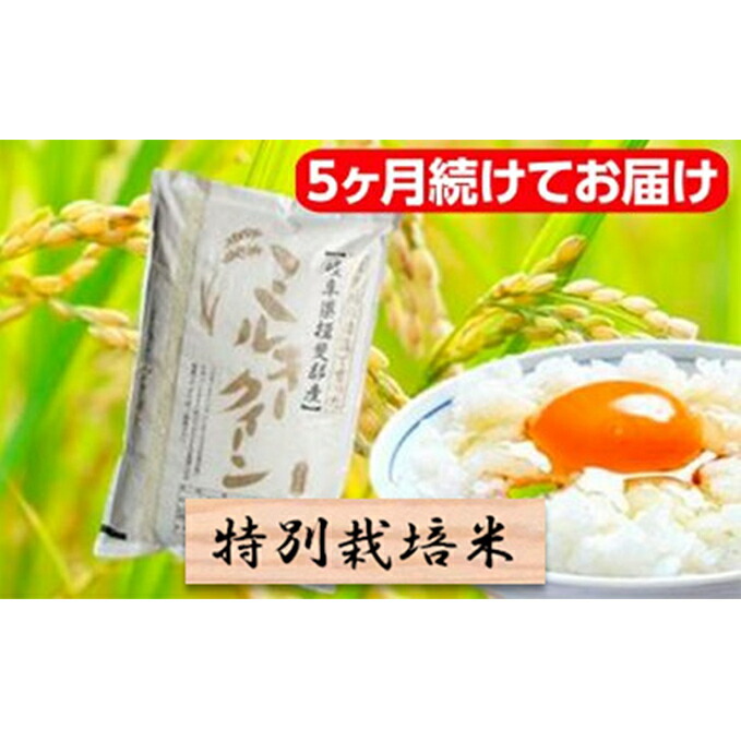 日本製 楽天市場 ふるさと納税 特別栽培米 頒布会 5ヶ月 毎月精米10kgまたは玄米11kg ミルキークイーン 定期便 米 お米 ミルキークイーン お届け 年10月 岐阜県池田町 楽天ランキング1位 Www Lexusoman Com