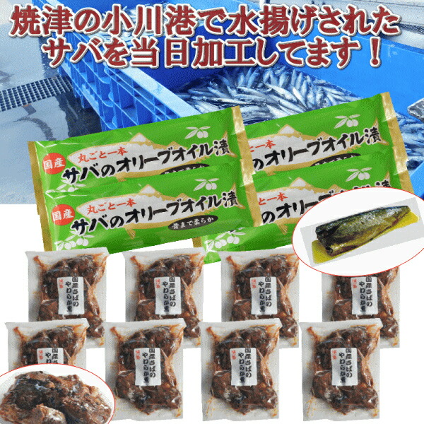 最大62 Offクーポン さば 魚 冷凍 オイル漬け 油漬け 佃煮 焼津 計12袋 骨まで食べられる A11 029 Fucoa Cl