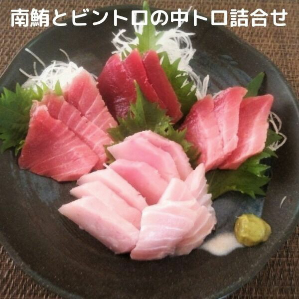 在庫一掃】 まぐろ 中トロ 赤身 ブロック 刺身 海鮮丼 寿司 南マグロ ビントロ セット 魚 焼津 約800g a20-274 fucoa.cl