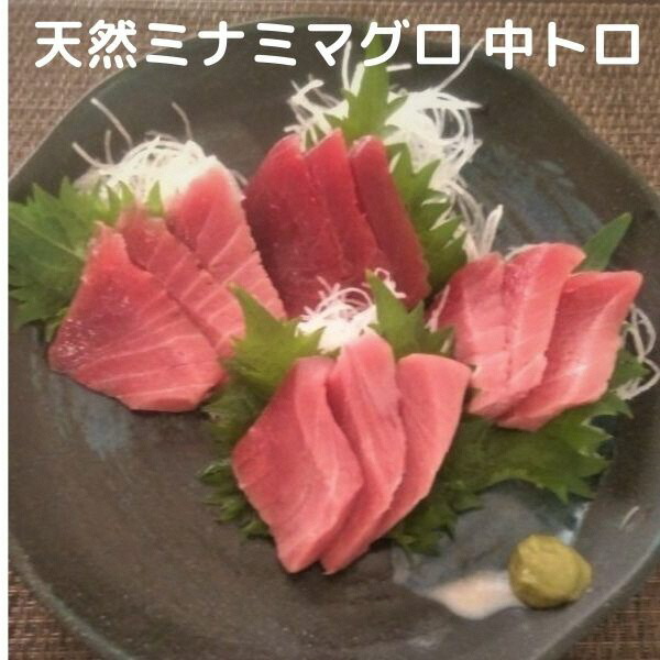 【ふるさと納税】 まぐろ 中トロ 赤身 ブロック 刺身 寿司 海鮮丼 天然 南 鮪  600g 入り セット 魚 焼津 a20-285