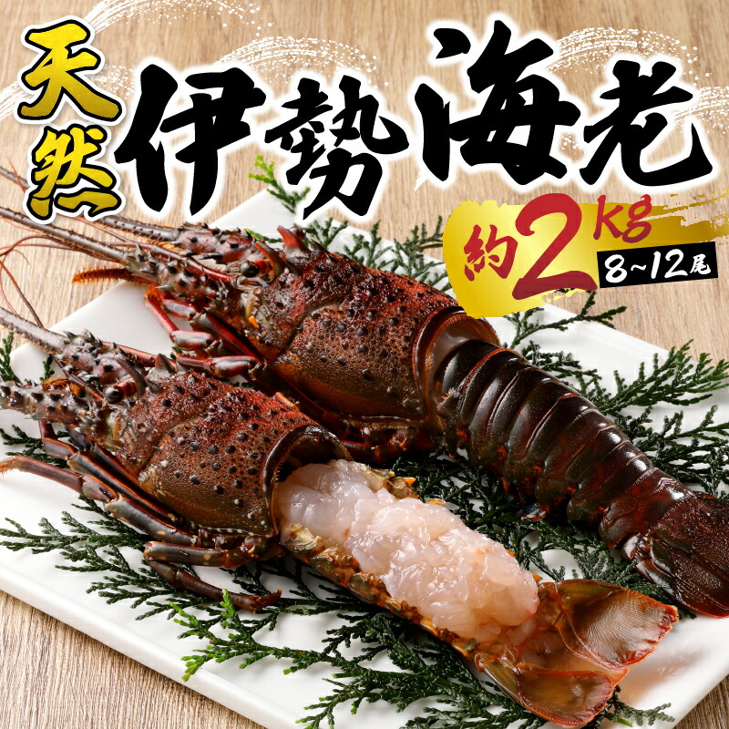 ☆活け 伊勢海老 伊勢エビ2kg（活 伊勢海老 合計約2kg セット 訳