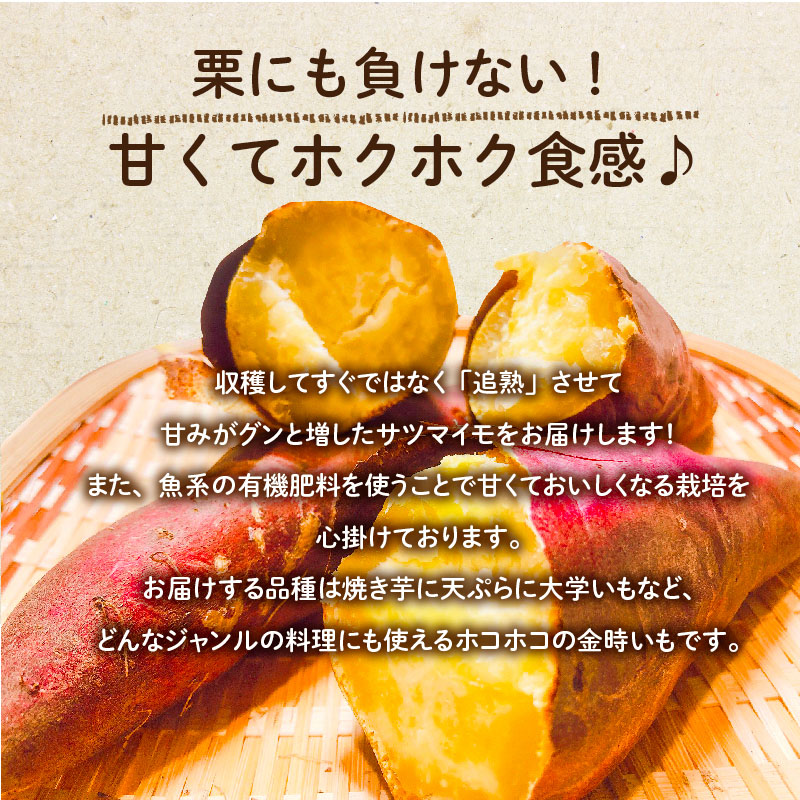 Off 長期熟成 金時いも さつまいも 4 5kg 追熟 サツマイモ 芋 焼き芋 産地直送 送料無料 1oficioverde Com Br