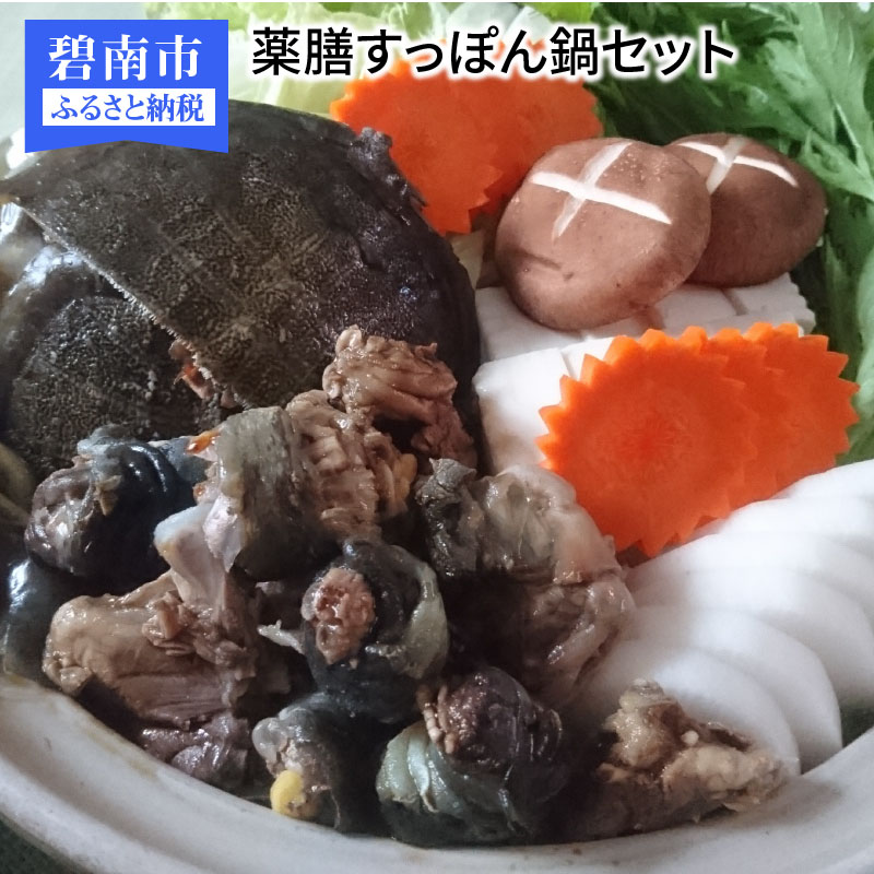 楽天市場】【ふるさと納税】毎月お届け！ギョギョギョな魚介類の定期便（6か月） H006-026 : 愛知県碧南市