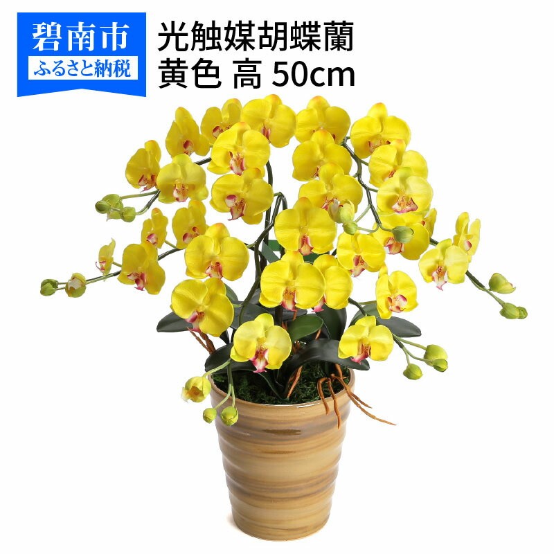 ふるさと納税 造花 花 胡蝶蘭 ギフト コロナ 綺麗で丈夫な三河陶器で贈る 光触媒胡蝶蘭小輪 本立 アンバーの陶器 黄色の花 在宅 華やか おうち時間 H100 032 Gulbaan Com