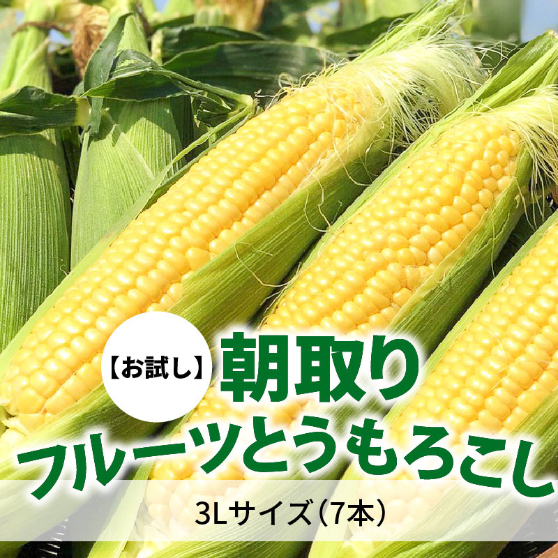 楽天市場 ふるさと納税 とうもろこし 予約 3lサイズ7本 お試し メロンより甘い 朝取りフルーツとうもろこし H095 002 愛知県碧南市