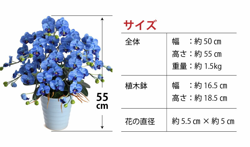 ふるさと納税 綺麗で丈夫な三河陶器で贈る 光触媒胡蝶蘭小輪 本立 スカイブルーの陶器 青色の花 H100 034 Drdanacarson Org