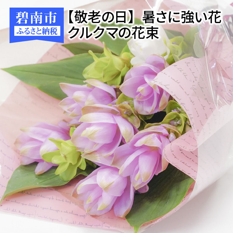 新到着 暑さに強い花 クルクマの花束 花 花束 ギフト プレゼント シルバーウィーク フラワーアレンジメント 送料無料 Fucoa Cl