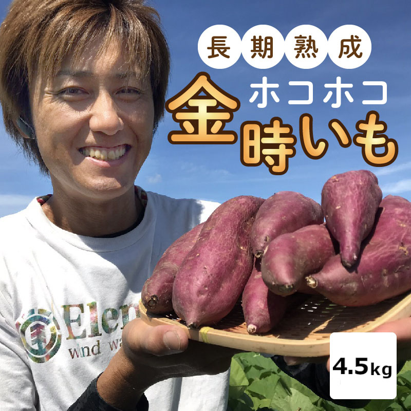 Off 長期熟成 金時いも さつまいも 4 5kg 追熟 サツマイモ 芋 焼き芋 産地直送 送料無料 1oficioverde Com Br