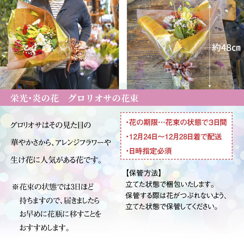 楽天市場 ふるさと納税 花束 ブーケ プレゼント ギフト クリスマス お正月 栄光 炎の花 グロリオサの花束 大 H092 013 愛知県碧南市