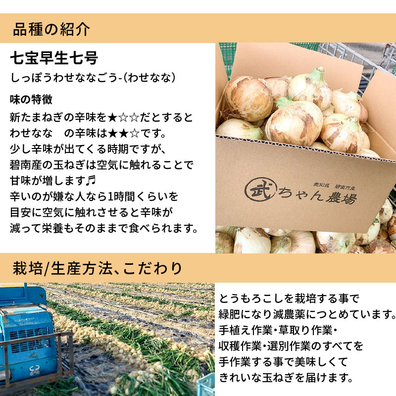 楽天市場 ふるさと納税 訳アリ 一瞬の旬 甘くてびっくり 花火玉ねぎ 4 5kg H095 006 愛知県碧南市