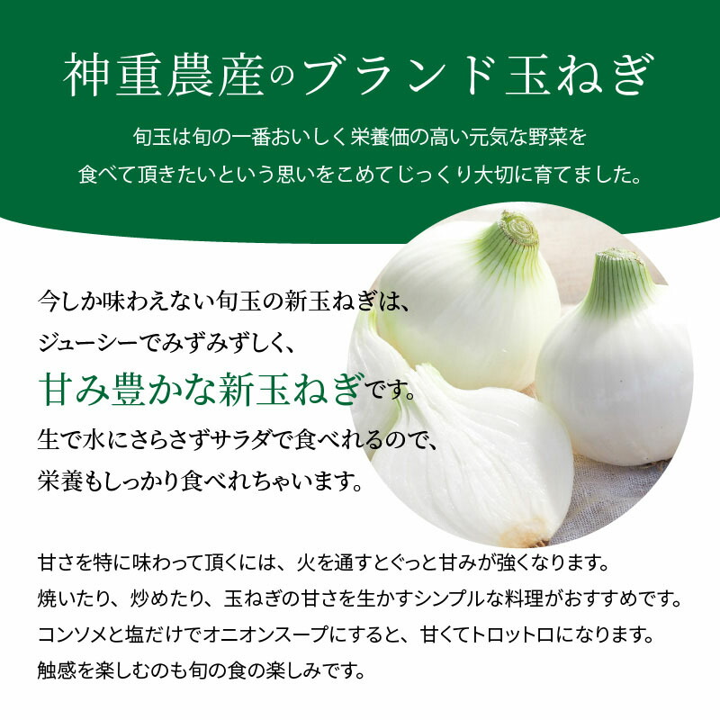 格安人気 コロナ支援 新玉ねぎ 生がおいしい 神重農産のブランド玉ねぎ 旬玉 10kg H105 013 魅力的な Vancouverfamilymagazine Com