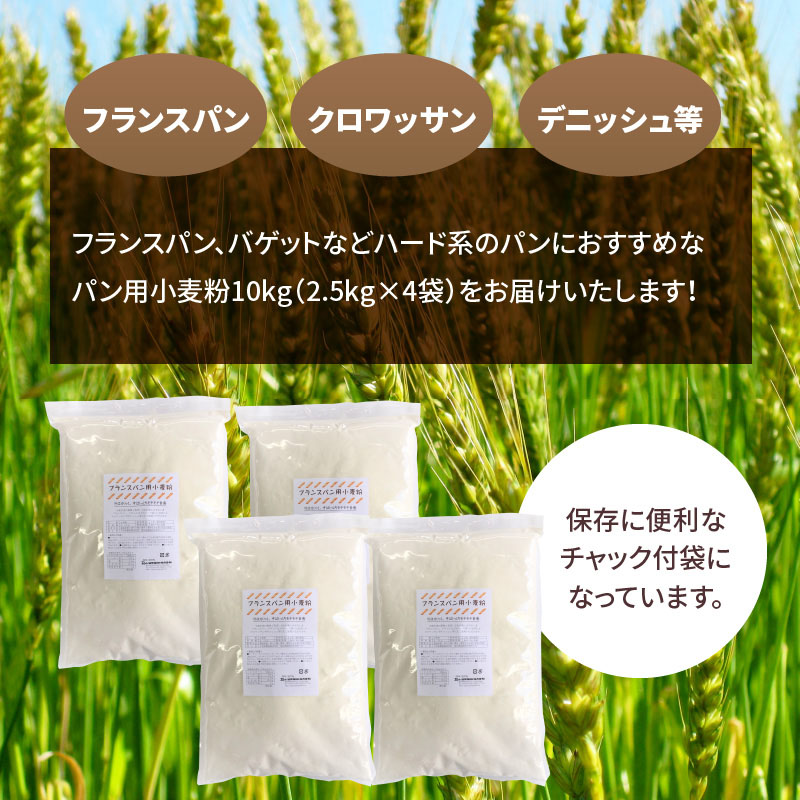 品数豊富！ フランスパン用小麦粉 準強力粉 2.5kg×4袋 計10kg バゲットやハードパンに qdtek.vn