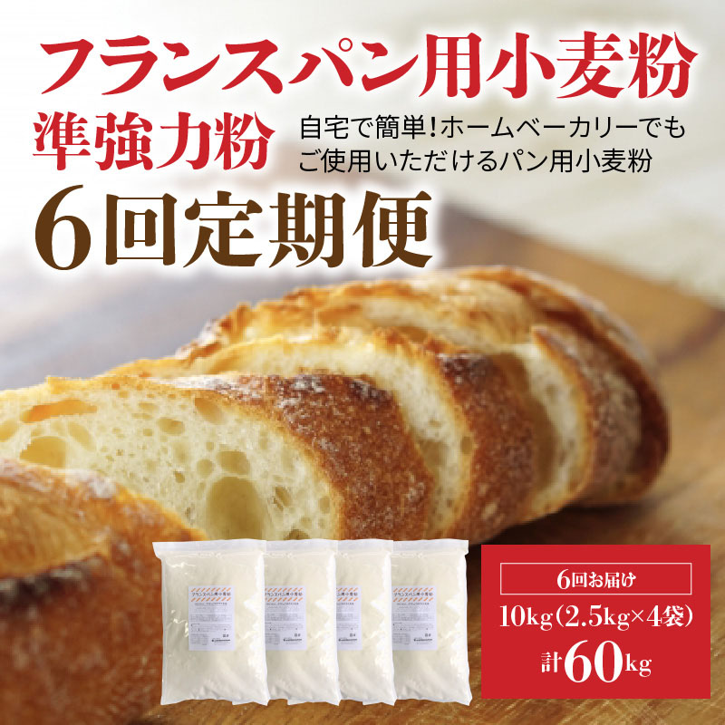 今年の新作から定番まで！ フランスパン用小麦粉 準強力粉 10kg 2.5kg×4袋 定期便6回 fucoa.cl