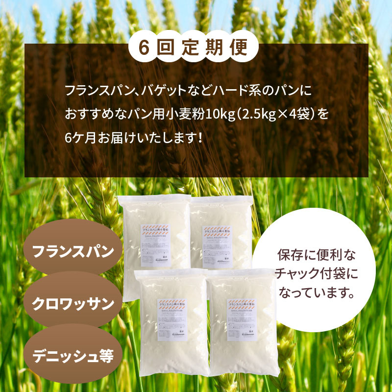 今年の新作から定番まで！ フランスパン用小麦粉 準強力粉 10kg 2.5kg×4袋 定期便6回 fucoa.cl