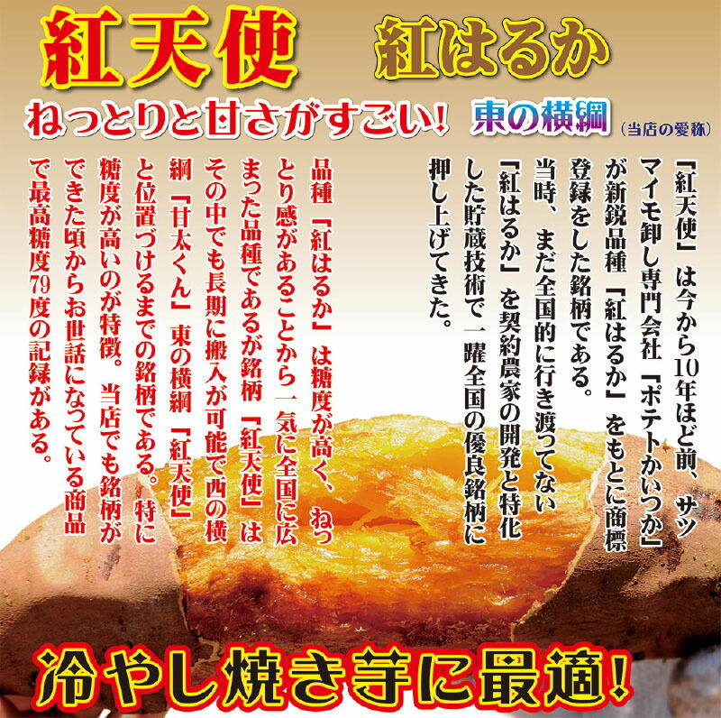 ふるさと納税 焼き芋 白蜜極めて 冷やし焼き芋 ひえひえ国主 棒紅杳々たる 紅エンジェル 1 5kg 750g 2 H047 008 Eastjob Pl