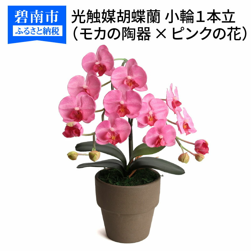 【ふるさと納税】綺麗で丈夫な三河陶器で贈る光触媒胡蝶蘭小輪１本立（モカの陶器&times;ピンクの花）｜愛知県碧南市