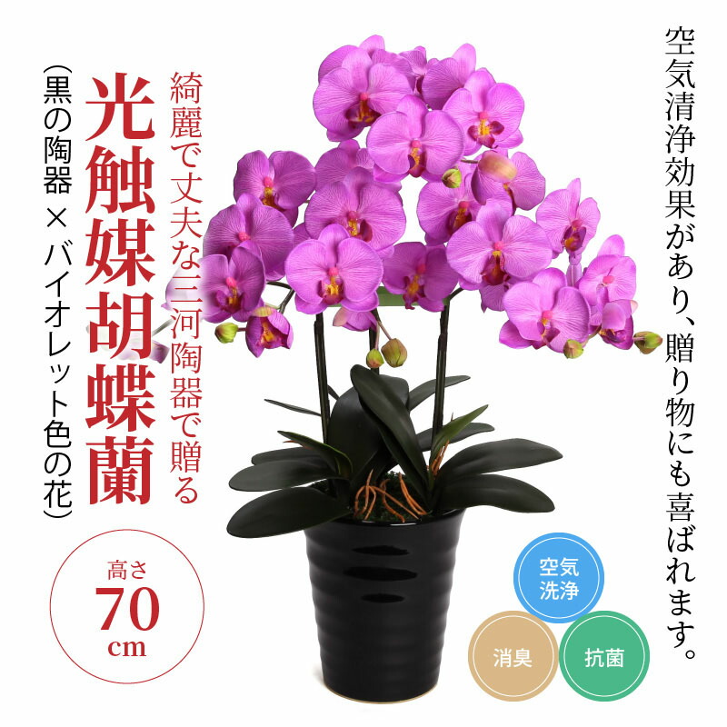 ふるさと納税 可愛らしいで健全な三河チャイナで差し上げる 明り触媒蝶々ラン大輪 本立 アウトローの陶器 菫カラーの花 H100 013 Newbyresnursery Com