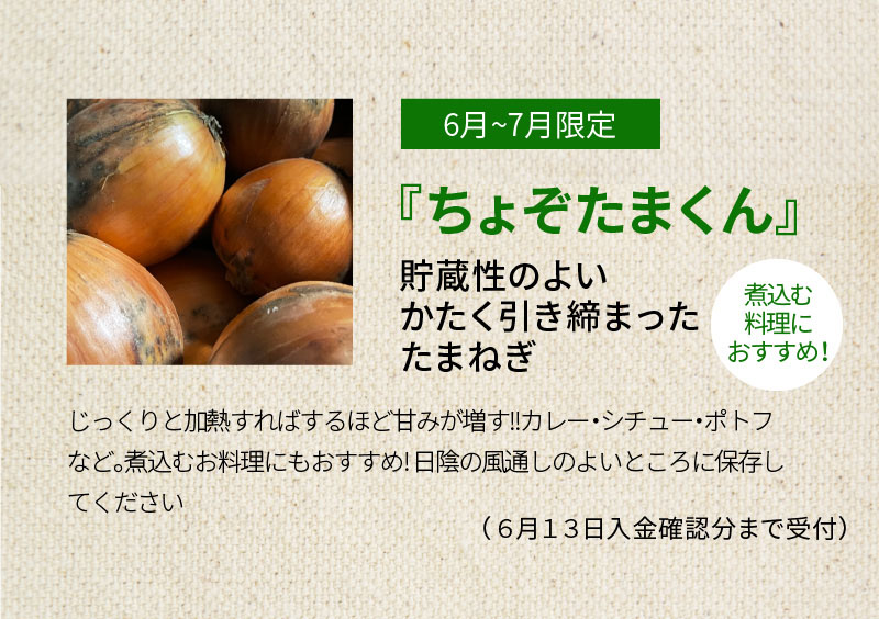 ふるさと納税 Vegetanaqの希ねぎ たまんねーぎ ちょぞたまくん 約7kg H116 005 Cannes Encheres Com
