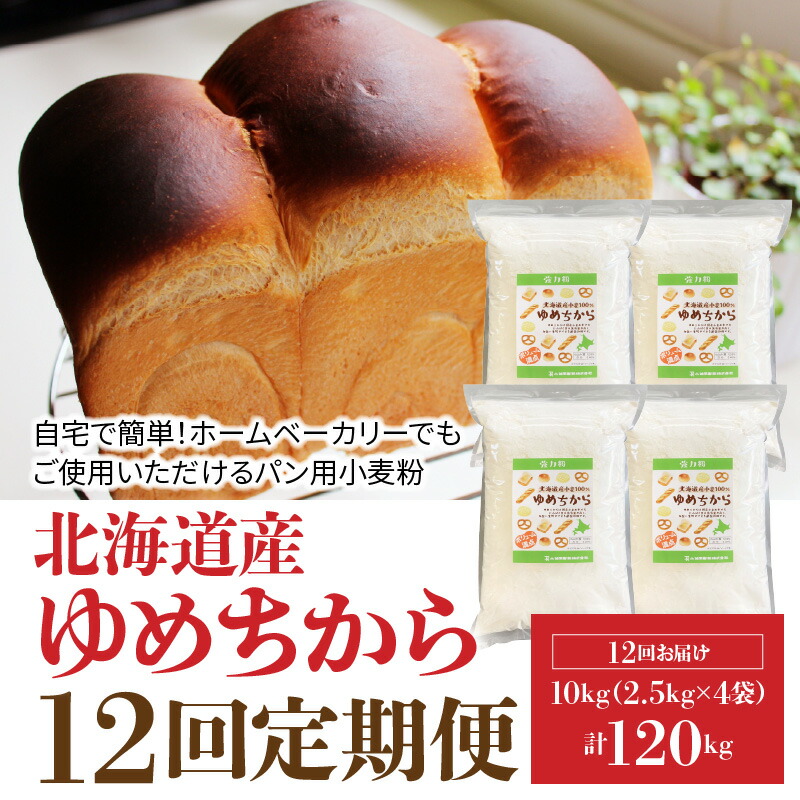 完売】 パン用小麦粉 北海道産ゆめちから 10kg 2.5kg×4袋 定期便12回 qdtek.vn