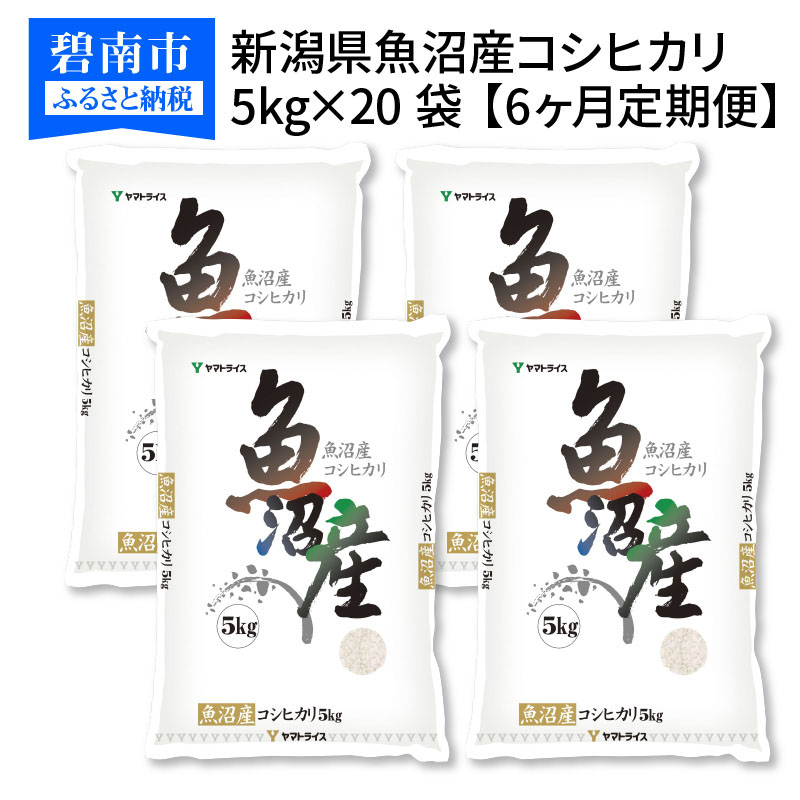 最適な価格 米 定期便 6ヶ月 新潟魚沼産コシヒカリ 100kg 5kg 袋 定期便6回 大容量 安心安全なヤマトライス H074 141 愛知県碧南市 人気特価激安 Mutupelayanankesehatan Net