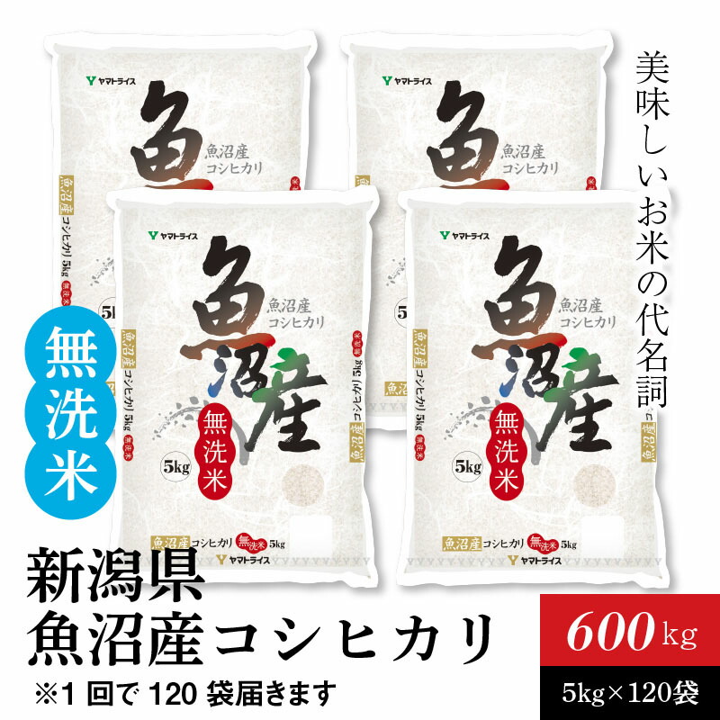 日本産 ふるさと納税 新潟魚沼産コシヒカリ 無洗米 5kg 1袋 安心安全なヤマトライス H074 144 無料長期保証 Www Lexusoman Com