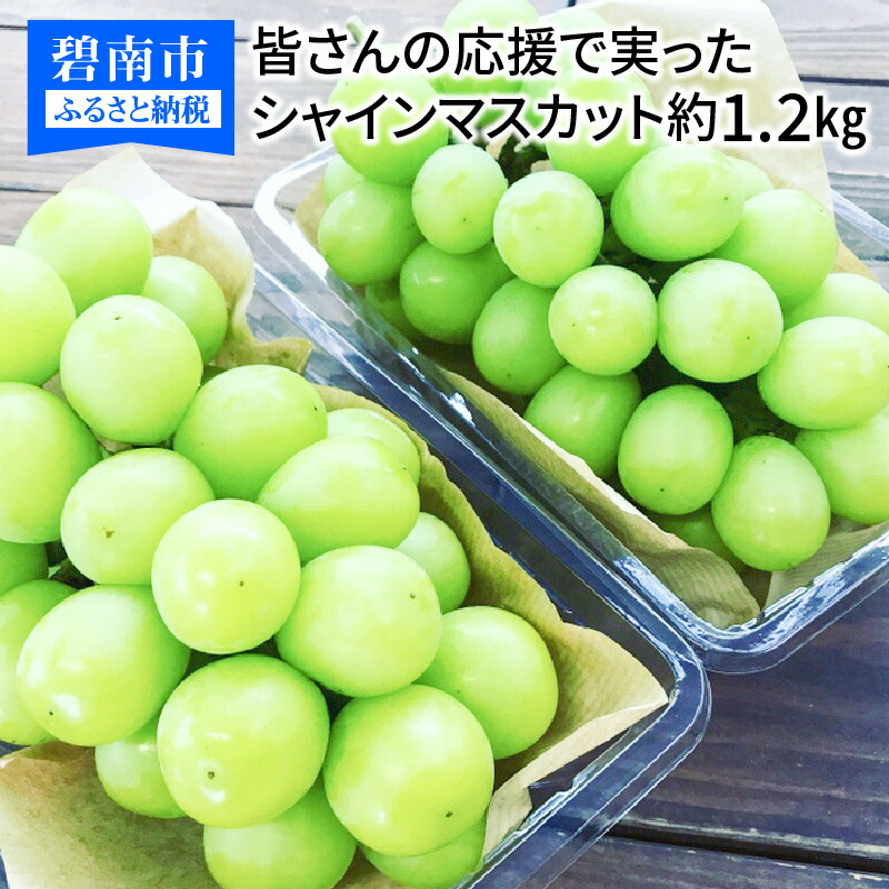 楽天市場】【ふるさと納税】 オリゴ糖 沖縄・奄美のきびオリゴ 計 2.1kg 350g×6本 調味料 健康 カロリーオフ 30%OFF 国産  さとうきび 100％使用 コク 保存料 着色料 人工甘味料 不使用 腸内フローラ 送料無料 : 愛知県碧南市