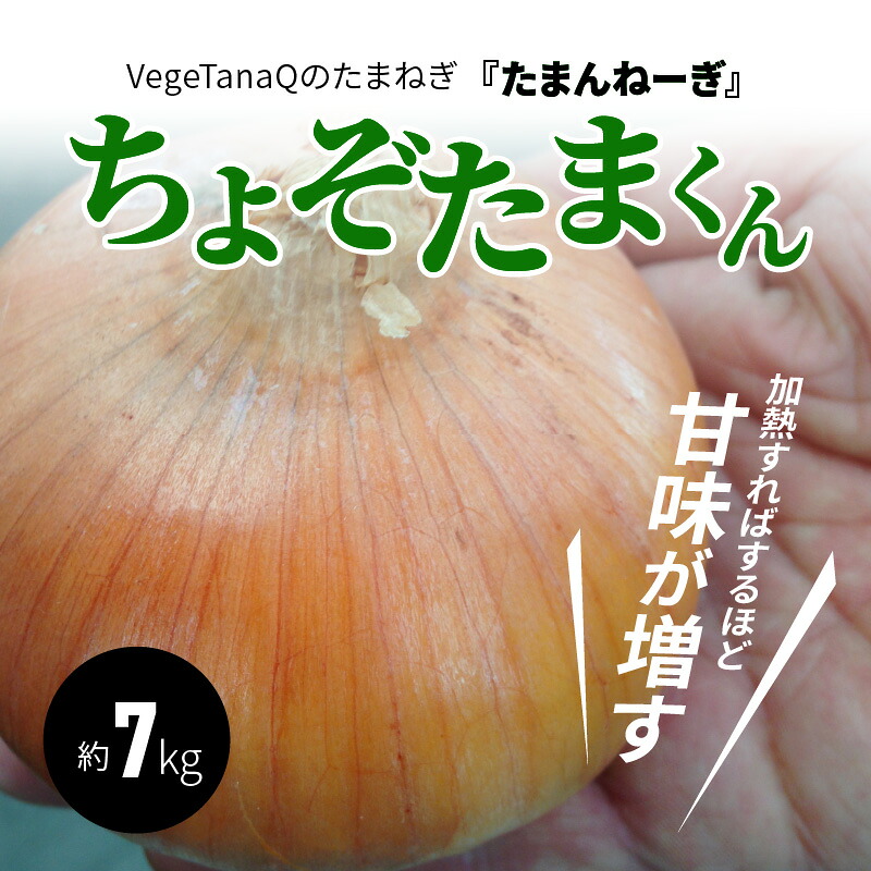 ふるさと納税 Vegetanaqの希ねぎ たまんねーぎ ちょぞたまくん 約7kg H116 005 Cannes Encheres Com