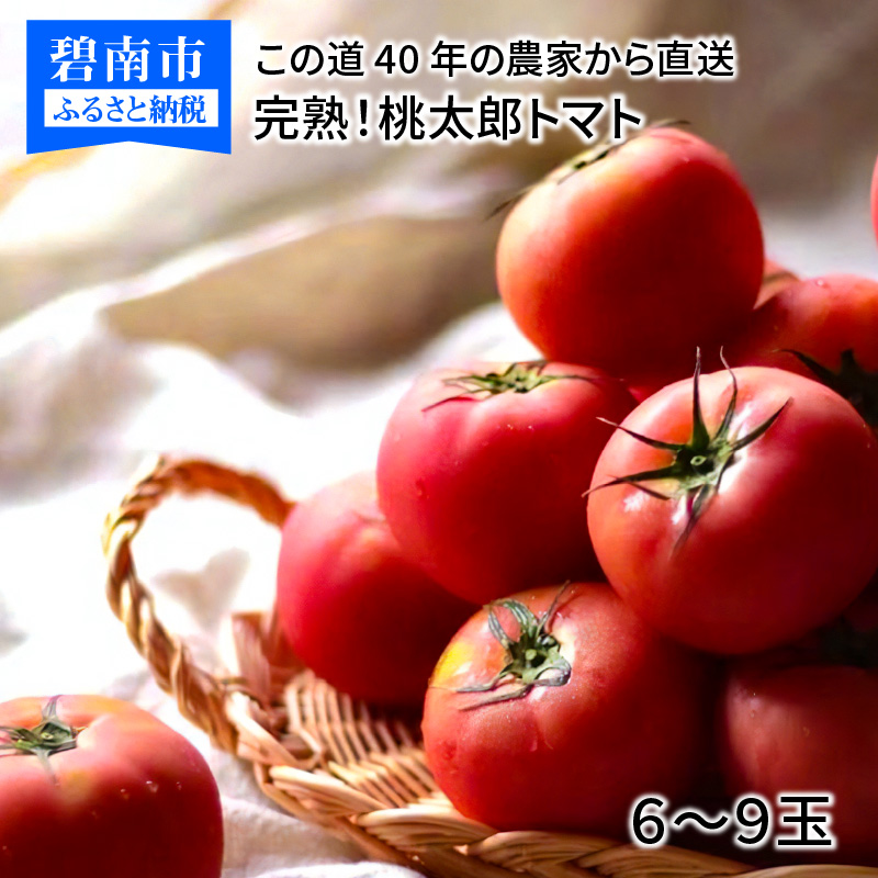 65%OFF【送料無料】 <br>300円クーポン配布中 ミニトマト トマト 新鮮 