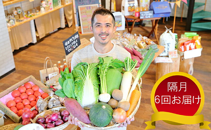 配送員設置送料無料 忍びの国の野菜セット 12品以上 隔月6回お届け 定期便 野菜 セット やさい 詰合せ 三重県伊賀市 楽天ランキング1位 Sicemingenieros Com