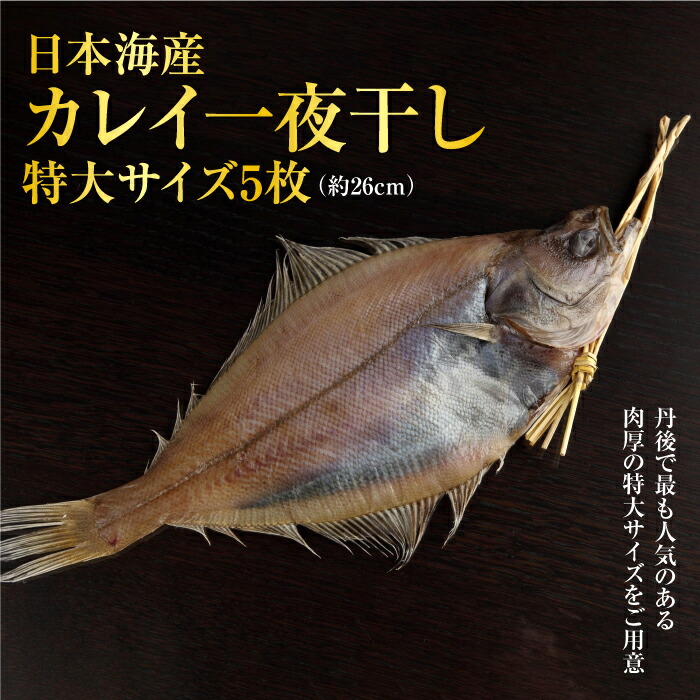 えてかれい一夜干し特大サイズ5枚セット 魚 魚介 魚介類 カレイ 一夜干し 5枚 干物 干し物 特大 セット 冷凍