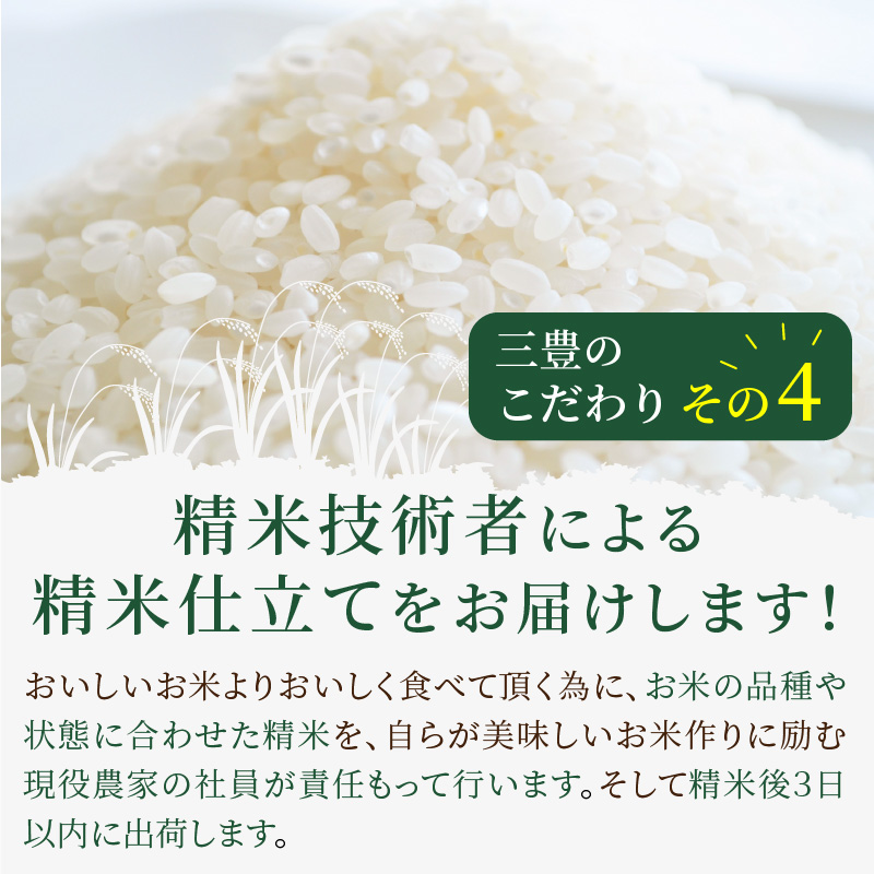 最新な 令和4年産 京都丹後産ミルキークイーン 玄米30kg fisd.lk