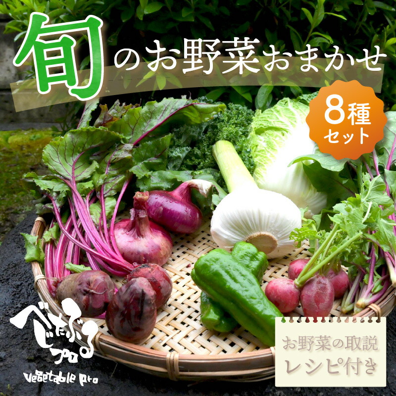 旬のお野菜おまかせ8種セット 2〜3人 野菜 お野菜 お任せ 旬 季節の野菜 新鮮 無農薬 詰め合わせ 【高い素材】