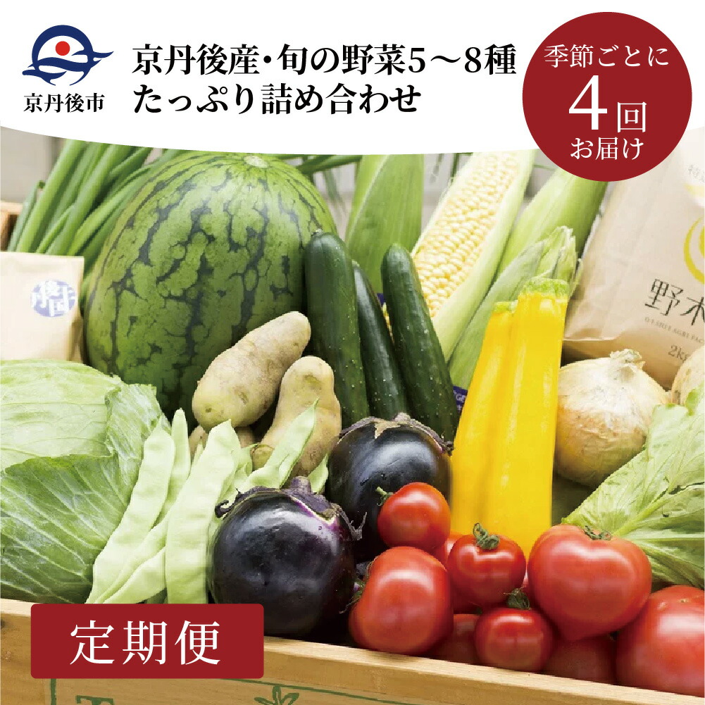 工場直送 ふるさと納税 定期便 京丹後産 旬の野菜 5 8種たっぷり詰め合わせ 季節ごとに4回 定期便 国際ブランド Prestomaalaus Fi