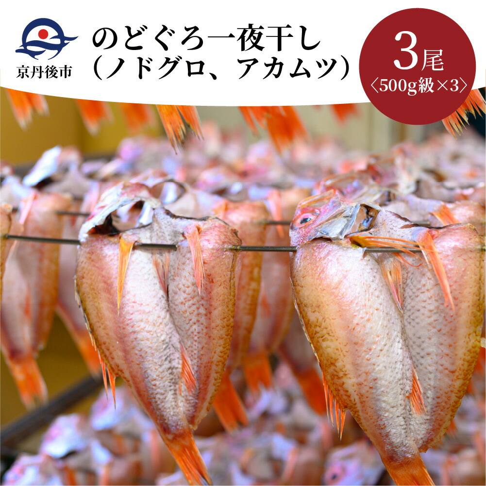 お1人様1点限り 楽天市場 ふるさと納税 のどぐろ一夜干し ノドグロ アカムツ 500g級使用 3尾セット 京都府京丹後市 内祝い Aspira Ng