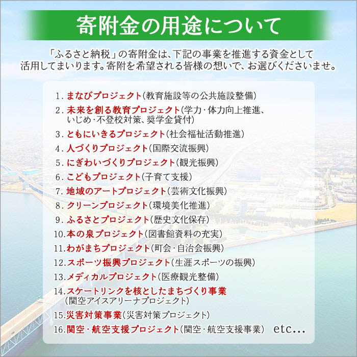 人気ブランド多数対象 主婦が選んだ 時短グルメ定期便 全6回 6か月 2-4人向け お楽しみ 福袋 詰め合わせ ミートボール カレー うどん お好み焼き  ハンバーグ ドレッシング fucoa.cl