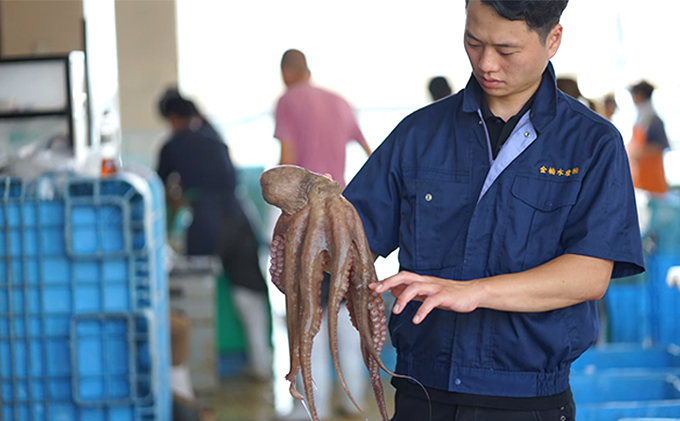 お1人様1点限り 匠の業 明石だこ丸タコ700g 魚貝類 タコ 魚介類 蛸 たこ シーフード メール便なら送料無料 M Ektralamp Com