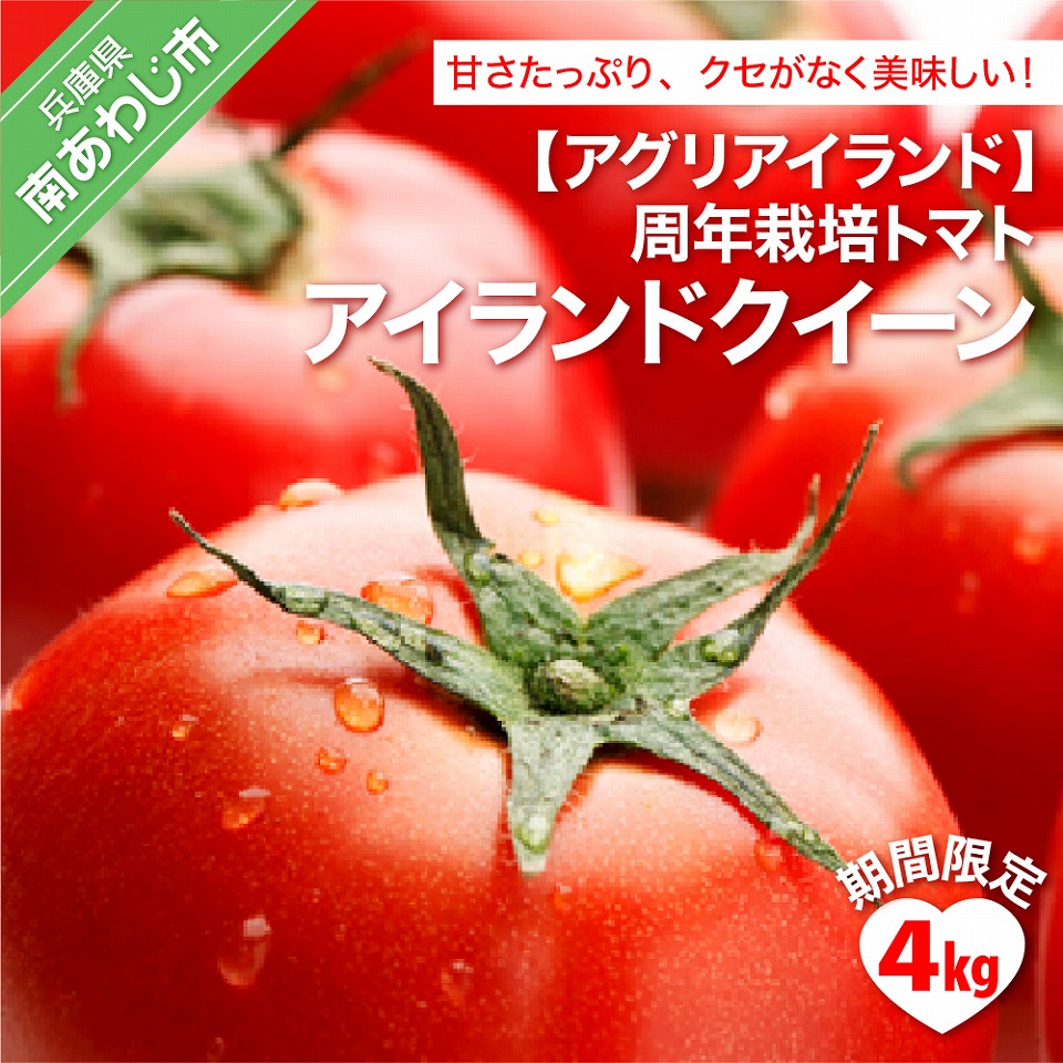 6200円 当店一番人気 ふるさと納税 スカイファーム そらのとまと1kg※令和4年6月下旬頃より順次発送 高知県仁淀川町 6200円 当店一番人気 ふるさと納税 スカイファーム そらのとまと1kg※令和4年6月下旬頃より順次発送 高知県仁淀川町