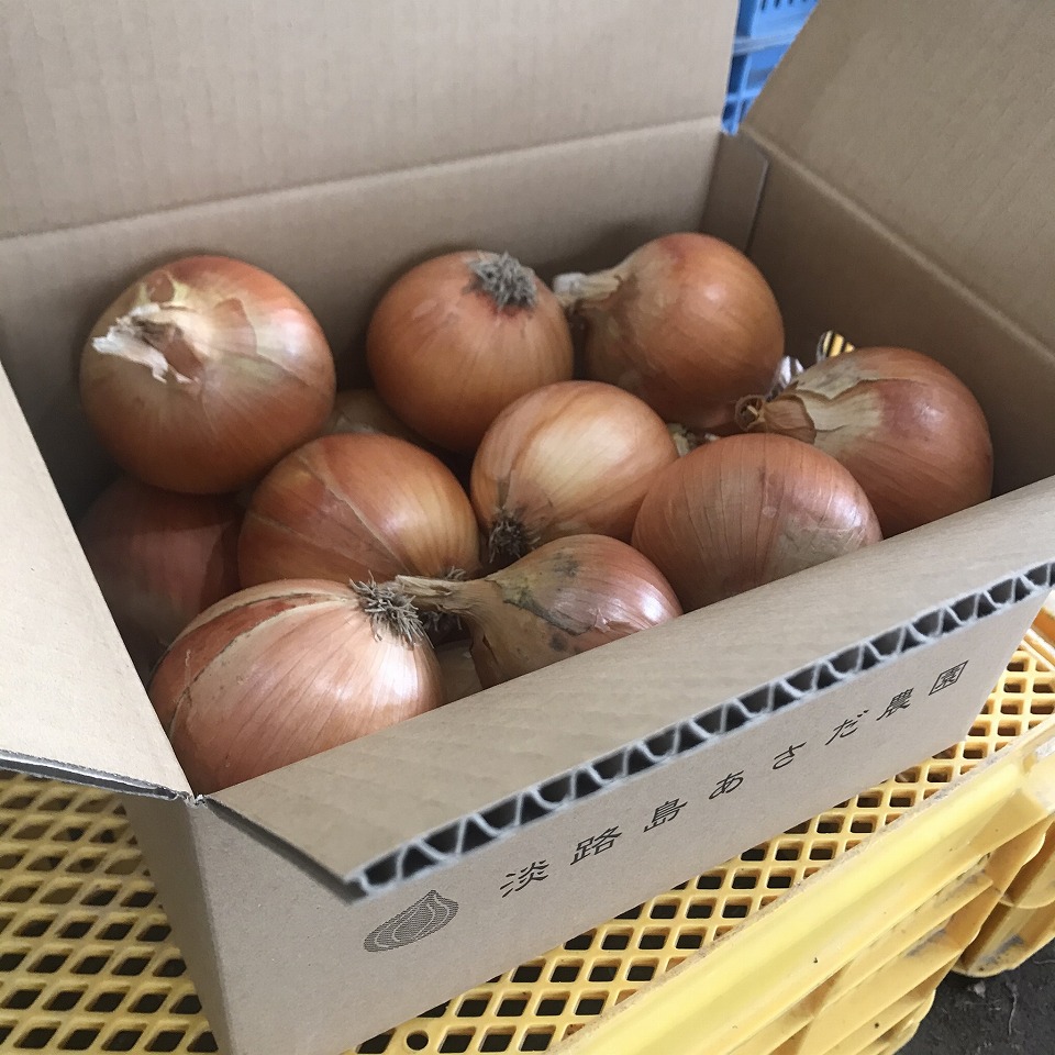 淡路島玉ねぎ サイズ混 10kg 兵庫県南あわじ市 あさだ農園 たまねぎ 野菜 きのこ ふるさと納税 淡路島玉ねぎ サイズ混 10kg 兵庫県南あわじ市 あさだ農園 たまねぎ 野菜 きのこ ふるさと納税