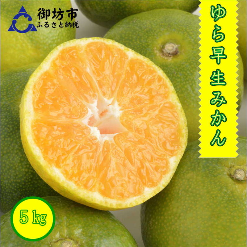 【ふるさと納税】御坊市・日高川町・由良町産 ゆら早生みかん（ゆらっ子）5kg《先行予約》｜和歌山県御坊市