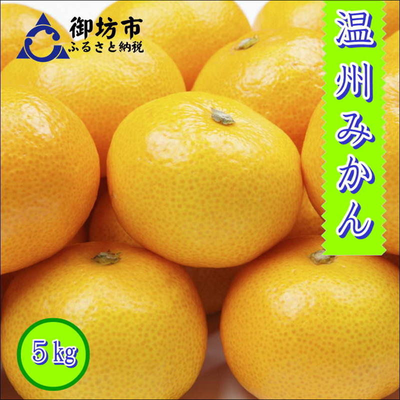 【ふるさと納税】御坊市・日高川町・由良町産　温州みかん(ゆらっ子)5kg《先行予約》