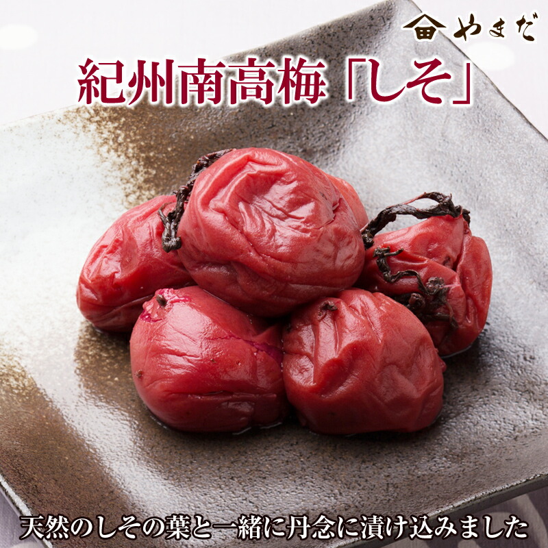 【ふるさと納税】【お中元】紀州南高梅「しそ」(塩分15%)｜和歌山県御坊市