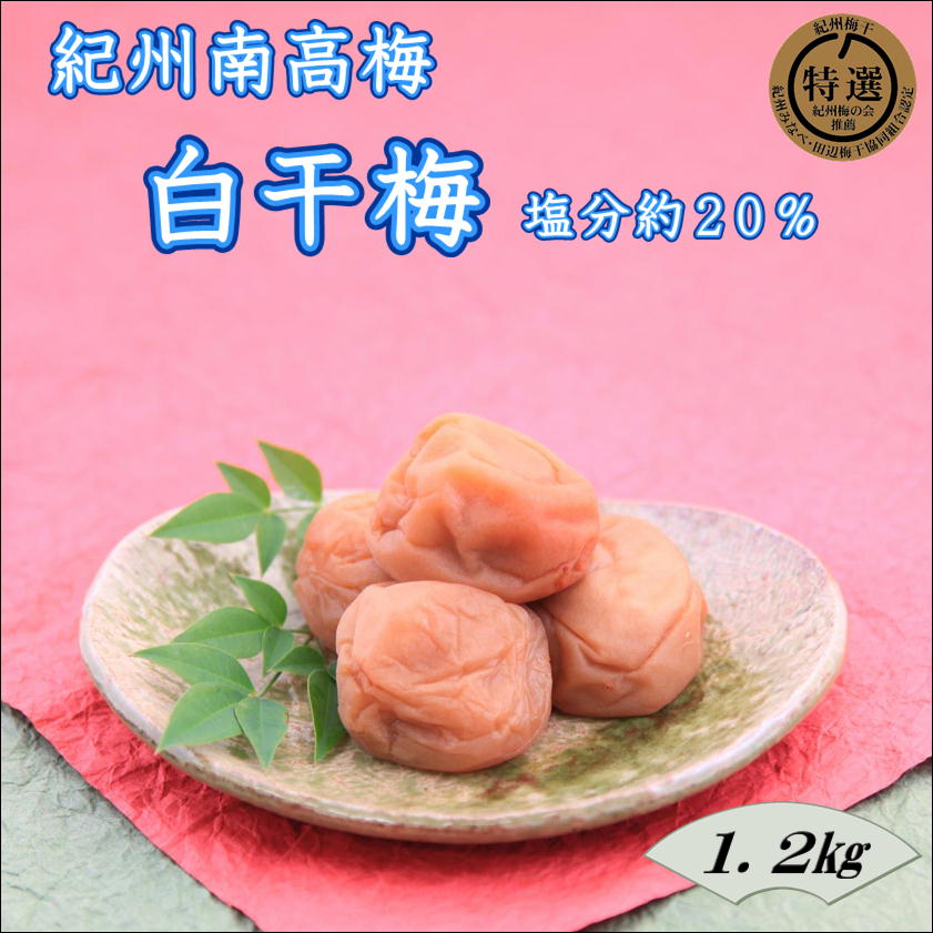 紀州南高梅 白干梅 1.2kg