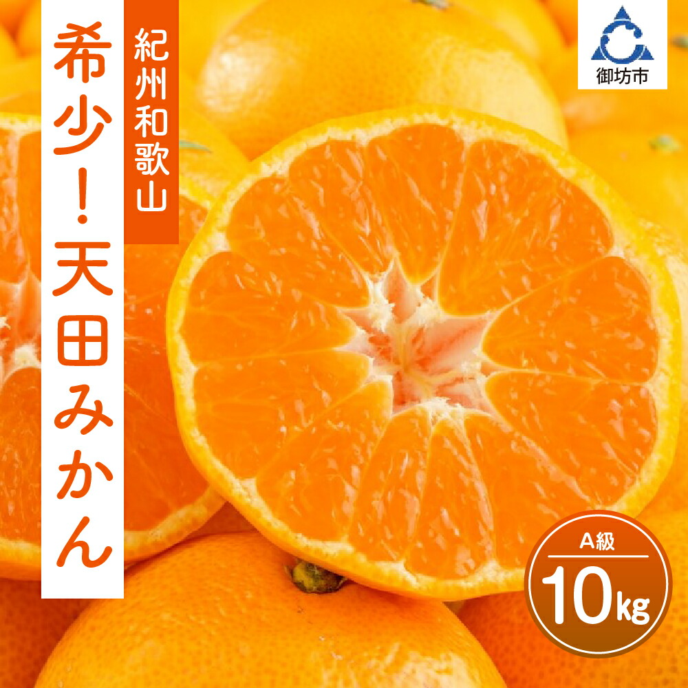 【ふるさと納税】希少！天田みかん（紀州和歌山）A級10kg《先行予約》