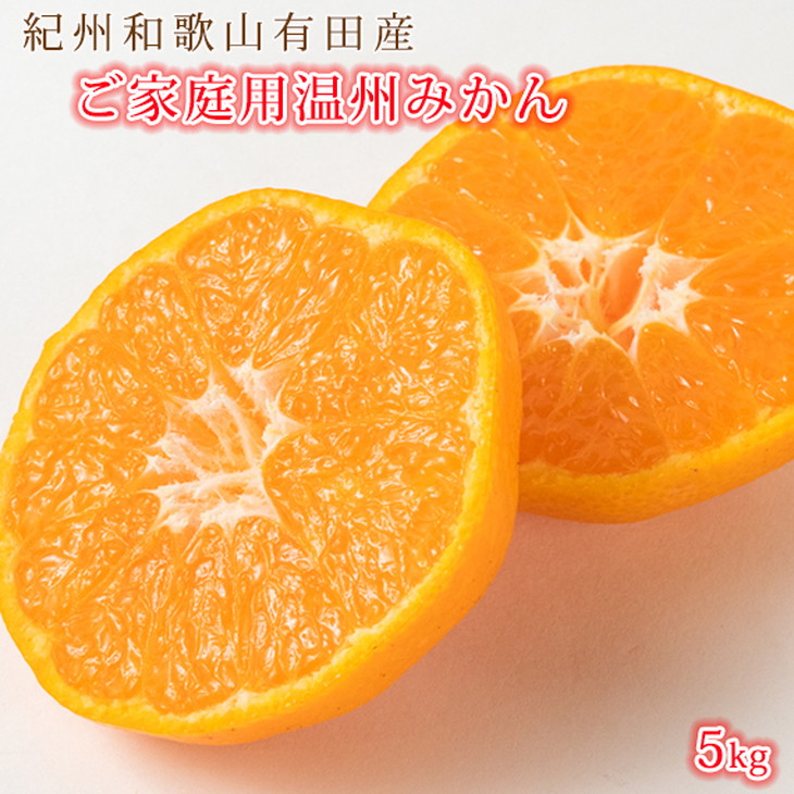【ふるさと納税】【限定】 【2025年 先行予約】 紀州 有田産 濃厚甘熟 温州みかん 5kg 【家庭用 訳あり】 【ミカン 蜜柑 柑橘 温州みかん 有田みかん 和歌山】