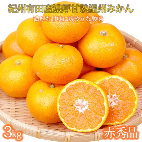 【ふるさと納税】【限定】【2025年 先行予約】 紀州 有田産 濃厚甘熟 温州みかん 3kg 赤秀品【ミカン 蜜柑 柑橘 温州みかん 有田みかん 和歌山】