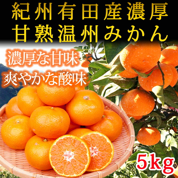 ふるさと納税 定期便 6回 湯浅町まるっと柑橘お届けフルーツ定期便 1月 6月お届け G60 T0 Psicologosancora Es