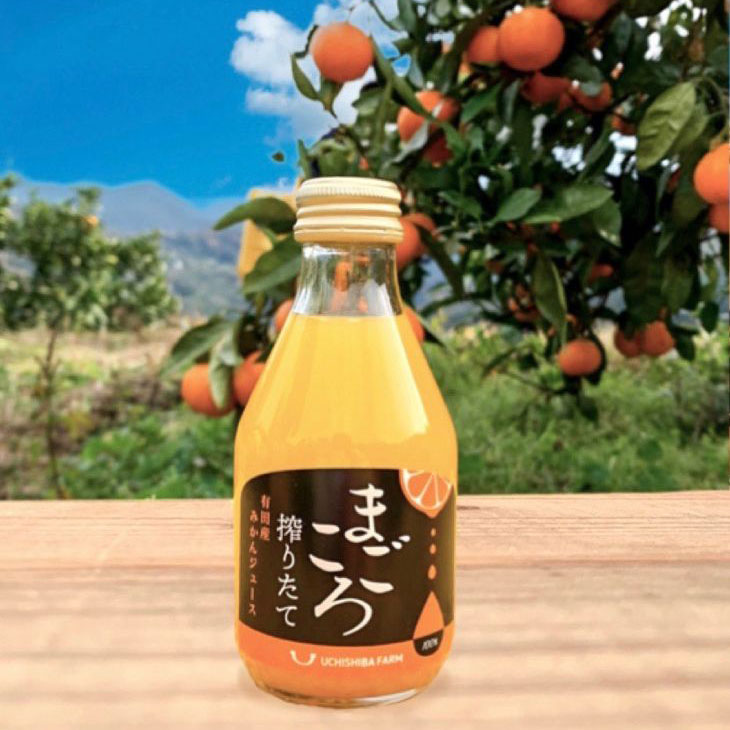 希望者のみラッピング無料 ふるさと納税 ZE6368_有田みかんジュース100％1000ml 2本セット化粧箱入り 和歌山県湯浅町  globescoffers.com