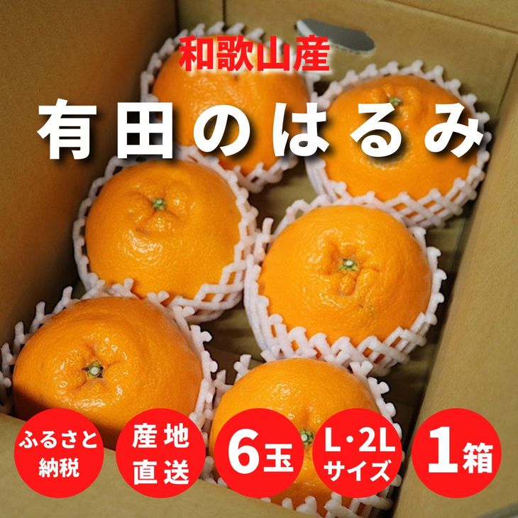 楽天市場】【ふるさと納税】和歌山県産 有田の 不知火(しらぬひ) 8〜11玉【まごころ手選別】【でこぽん デコポン しらぬい 不知火 柑橘】 :  和歌山県湯浅町