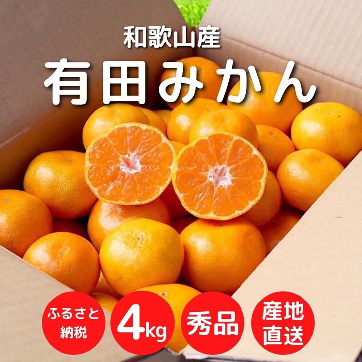 ふるさと納税 和歌山市 [秀品]和歌山有田みかん約6kg(3Lサイズ) 通販